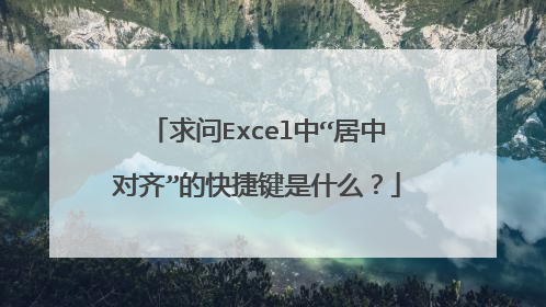 求问Excel中“居中对齐”的快捷键是什么?