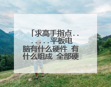 求高手指点.......平板电脑有什么硬件 有什么组成 全部硬件 还有最好的配置是哪些 在市场上能买到么