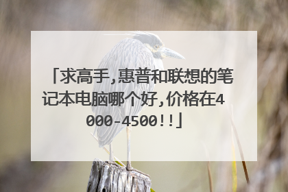 求高手,惠普和联想的笔记本电脑哪个好,价格在4000-4500!!