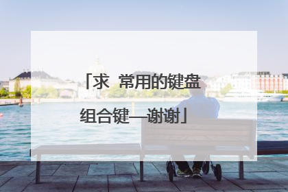 求 常用的键盘组合键——谢谢