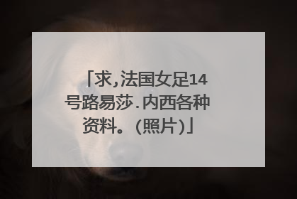 求,法国女足14号路易莎.内西各种资料。(照片)