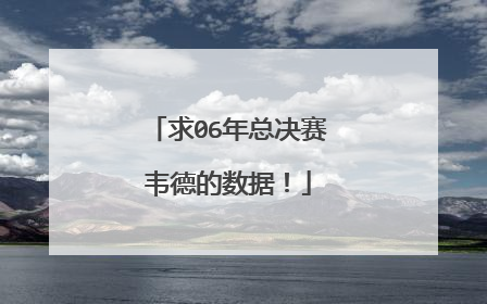 求06年总决赛韦德的数据！