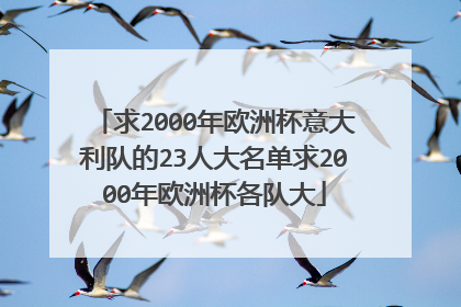 求2000年欧洲杯意大利队的23人大名单求2000年欧洲杯各队大