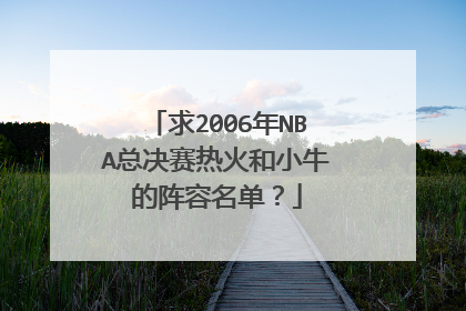 求2006年NBA总决赛热火和小牛的阵容名单？