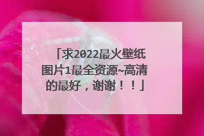 求2022最火壁纸图片1最全资源~高清的最好,谢谢!!