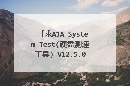 求AJA System Test(硬盘测速工具) V12.5.0 英文安装版网盘资源