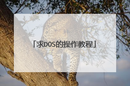 求DOS的操作教程