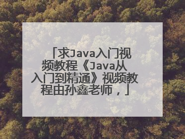 求Java入门视频教程《Java从入门到精通》视频教程由孙鑫老师，