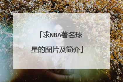 求NBA著名球星的图片及简介