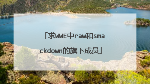 求WWE中raw和smackdown的旗下成员