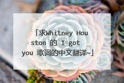 求Whitney Houston 的 I got you 歌词的中文翻译~