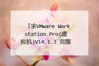 求VMware Workstation Pro(虚拟机)V14.1.3 完整（附注册码）网盘资源