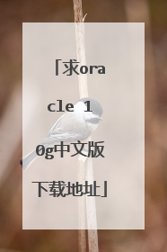 求oracle 10g中文版下载地址