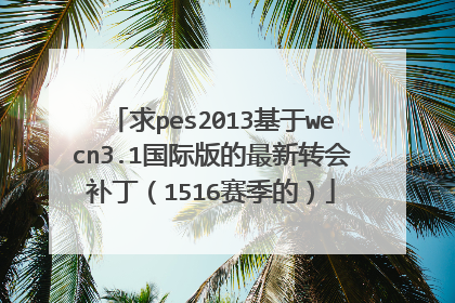 求pes2013基于wecn3.1国际版的最新转会补丁（1516赛季的）