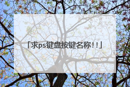 求ps键盘按键名称!!