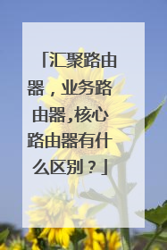 汇聚路由器，业务路由器,核心路由器有什么区别？