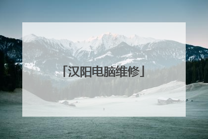 汉阳电脑维修