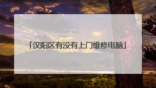 汉阳区有没有上门维修电脑
