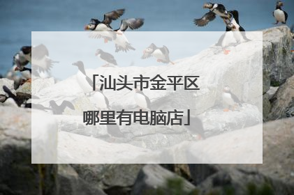 汕头市金平区哪里有电脑店