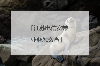 江苏电信宽带业务怎么查