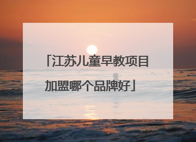 江苏儿童早教项目加盟哪个品牌好