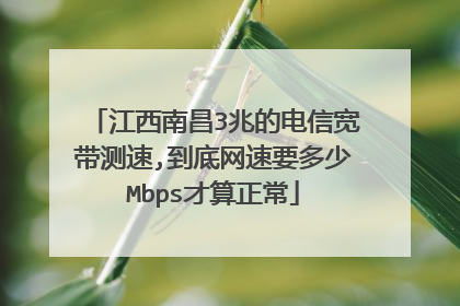 江西南昌3兆的电信宽带测速,到底网速要多少Mbps才算正常