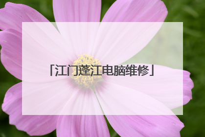 江门蓬江电脑维修