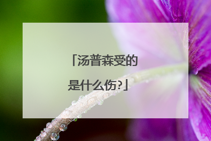 汤普森受的是什么伤?