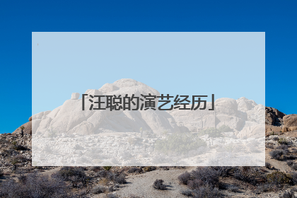 汪聪的演艺经历