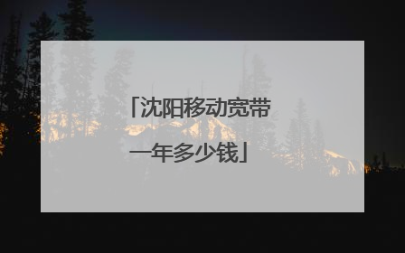 沈阳移动宽带一年多少钱