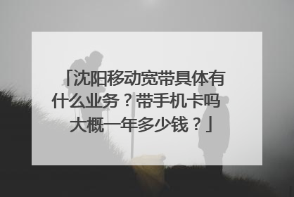 沈阳移动宽带具体有什么业务?带手机卡吗 大概一年多少钱?