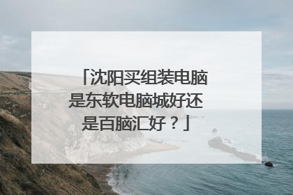沈阳买组装电脑是东软电脑城好还是百脑汇好?