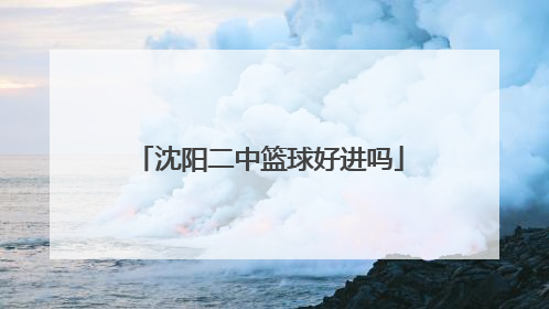 沈阳二中篮球好进吗