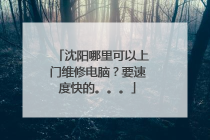 沈阳哪里可以上门维修电脑?要速度快的。。。