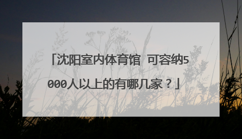 沈阳室内体育馆 可容纳5000人以上的有哪几家？