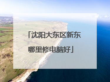 沈阳大东区新东哪里修电脑好