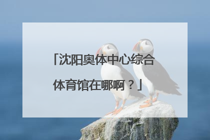 沈阳奥体中心综合体育馆在哪啊？