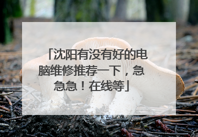 沈阳有没有好的电脑维修推荐一下,急急急!在线等