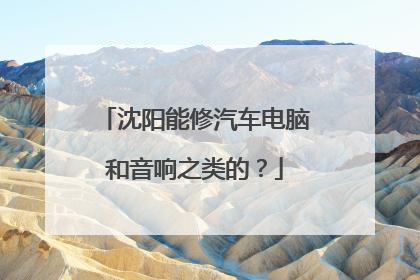 沈阳能修汽车电脑和音响之类的？
