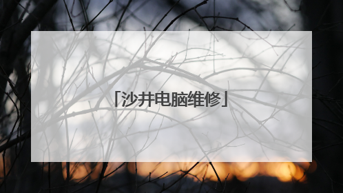 沙井电脑维修