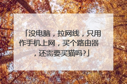 没电脑,拉网线,只用作手机上网,买个路由器,还需要买猫吗?