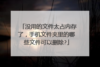 没用的文件太占内存了,手机文件夹里的哪些文件可以删除?
