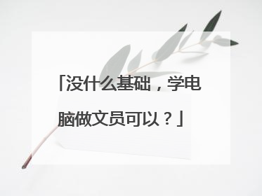 没什么基础,学电脑做文员可以?