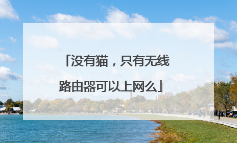 没有猫,只有无线路由器可以上网么