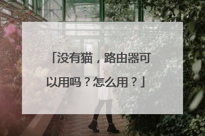 没有猫，路由器可以用吗？怎么用？
