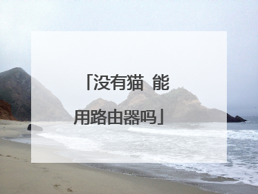 没有猫 能用路由器吗