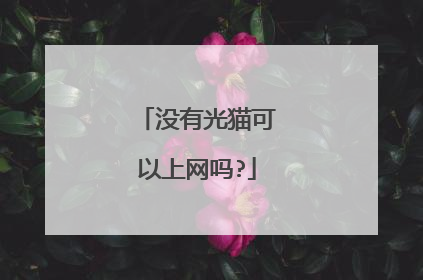 没有光猫可以上网吗?