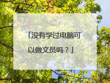 没有学过电脑可以做文员吗?