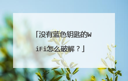 没有蓝色钥匙的WiFi怎么破解?