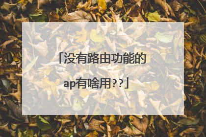 没有路由功能的ap有啥用??
